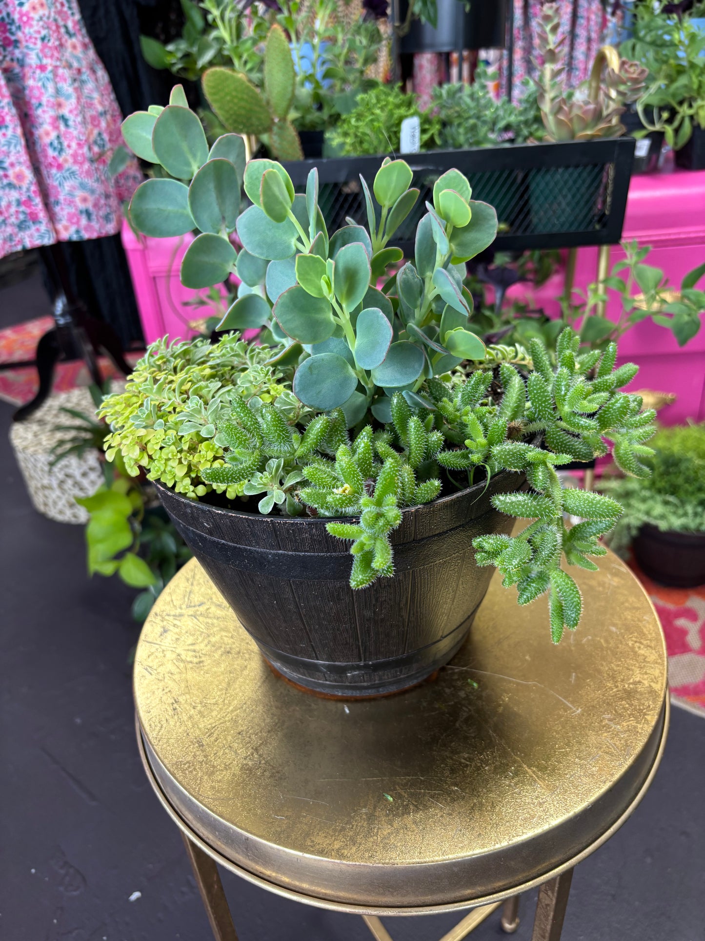 Mixed Succulent Basket