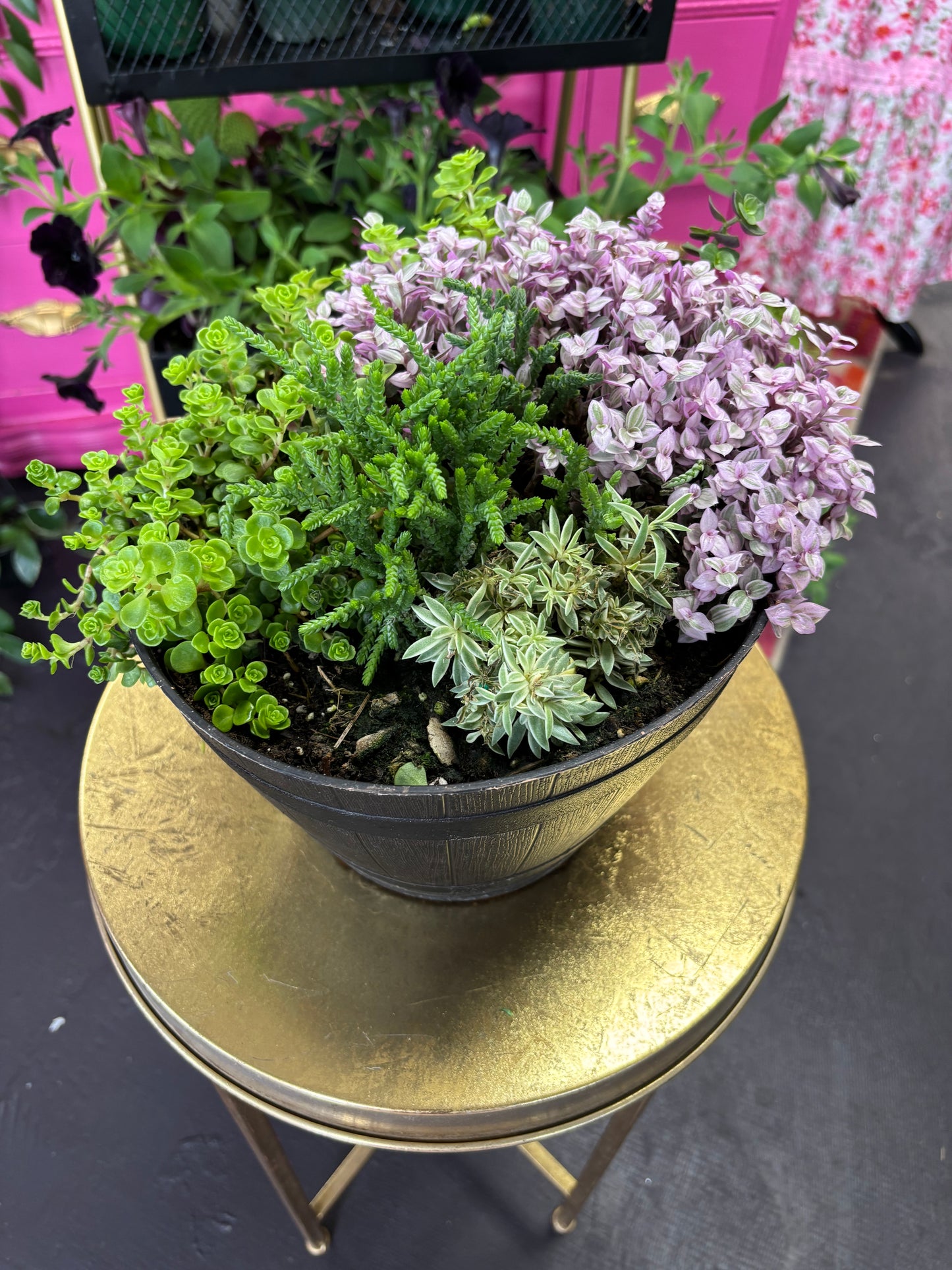 Mixed Succulent Basket