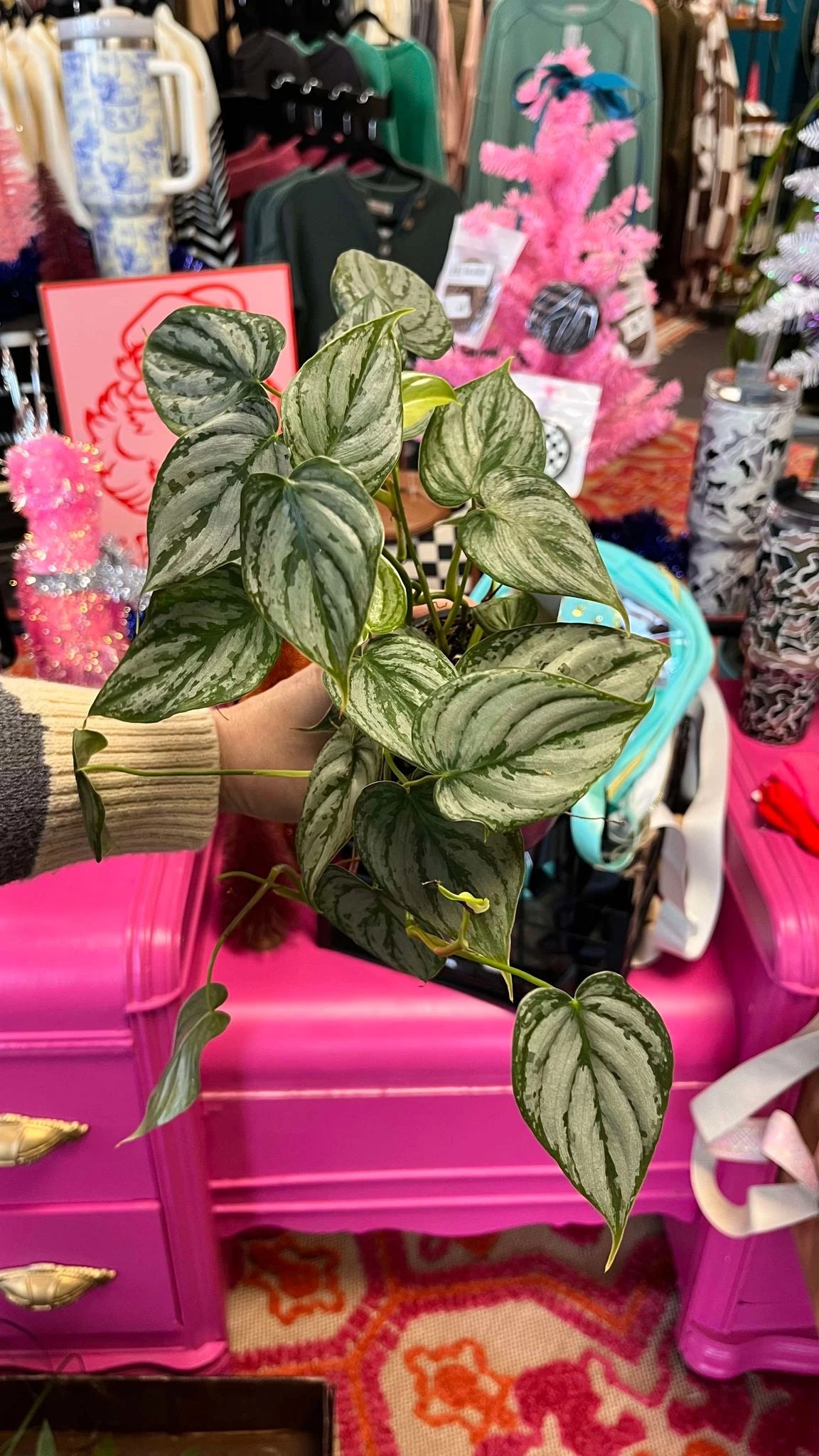 The Plants Themselves