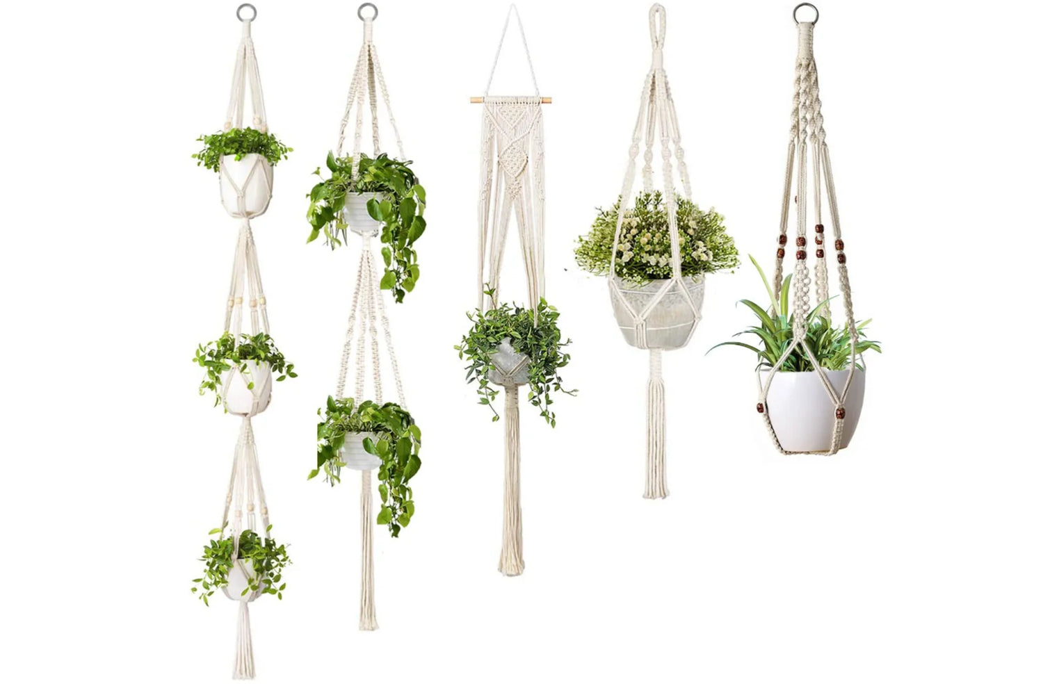 Planty Things & Accessories