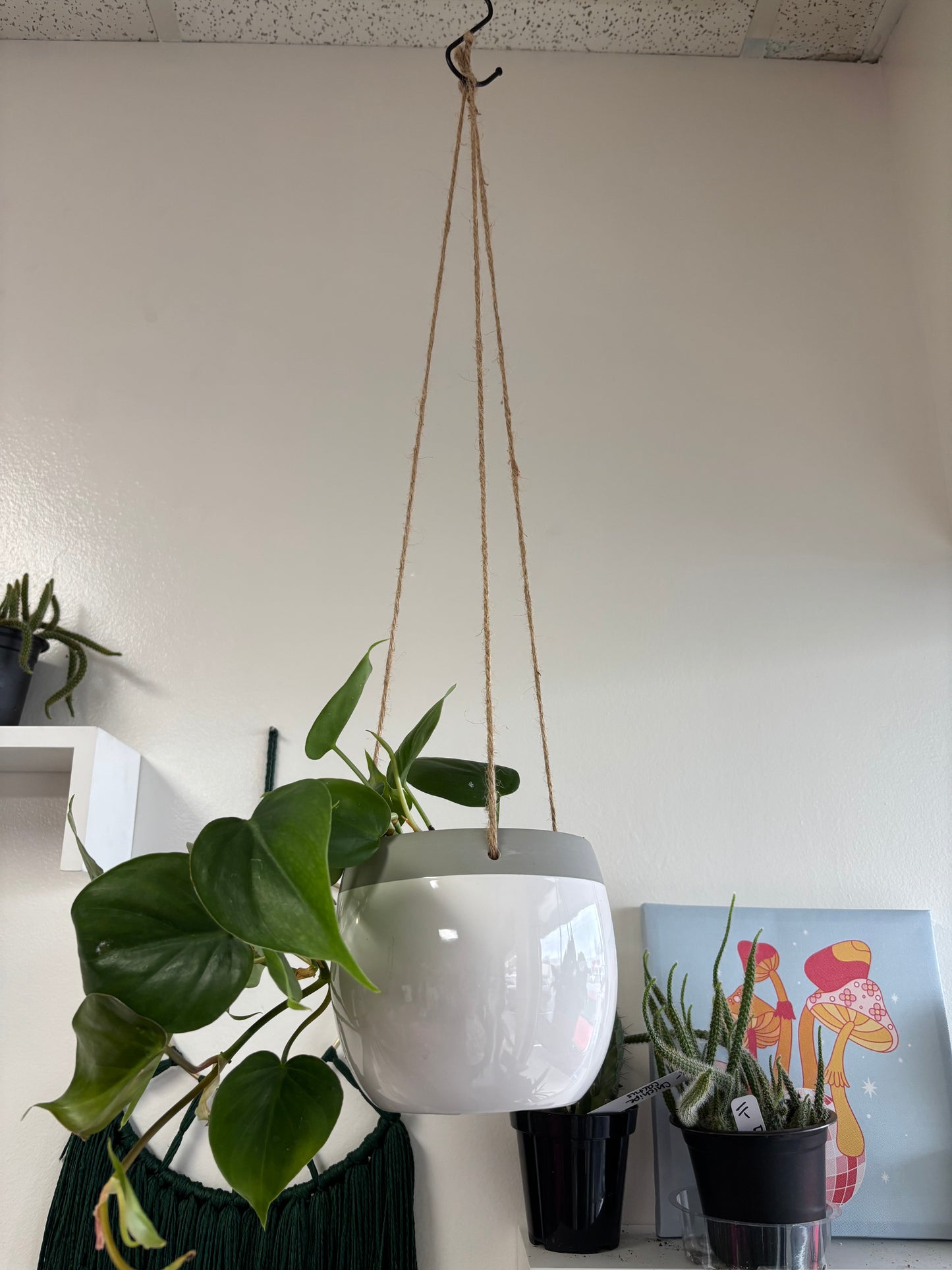 Ceramic Hanging Pot