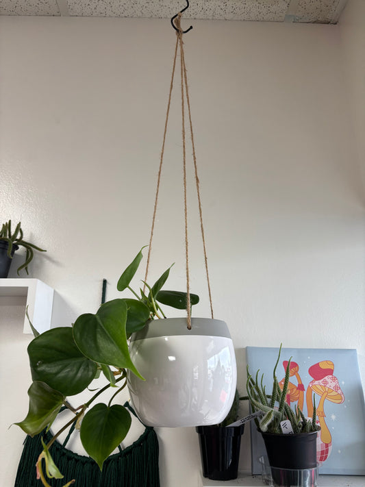 Ceramic Hanging Pot