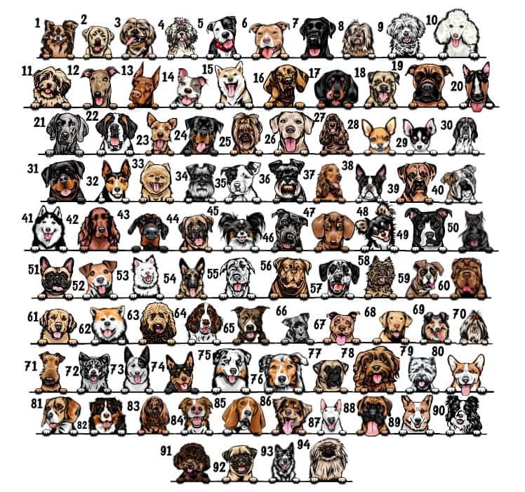 Dog Mama Preorder- Plus & Regular
